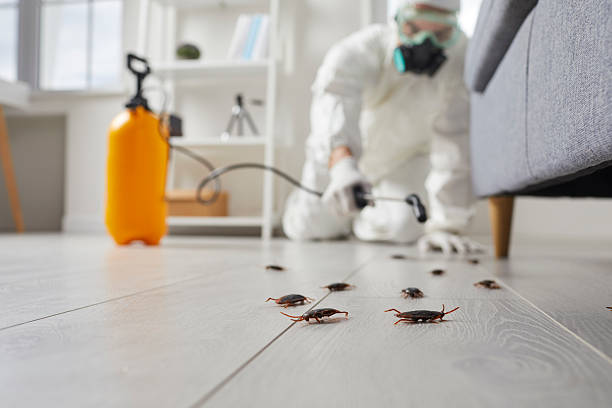 Commercial Kitchen Cockroach Control in Jackson Center